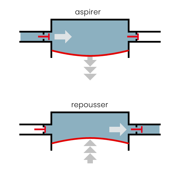 Pompe á membrane (fonction)